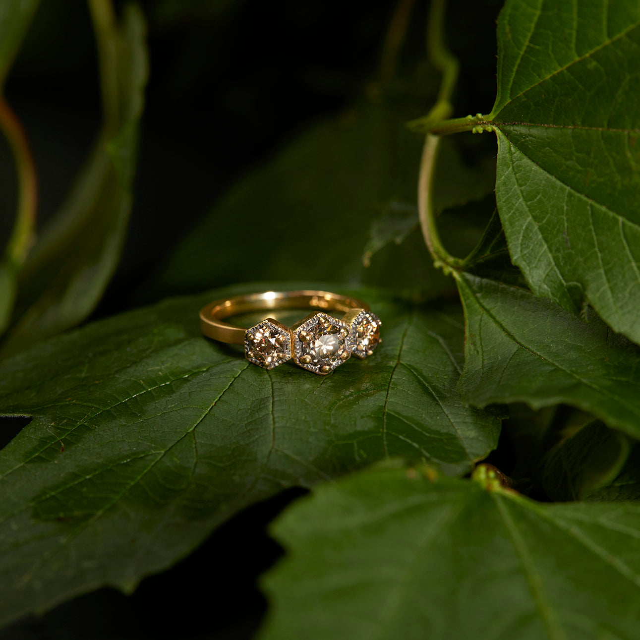 Queen Brown Diamond Triple Hexagon Ring