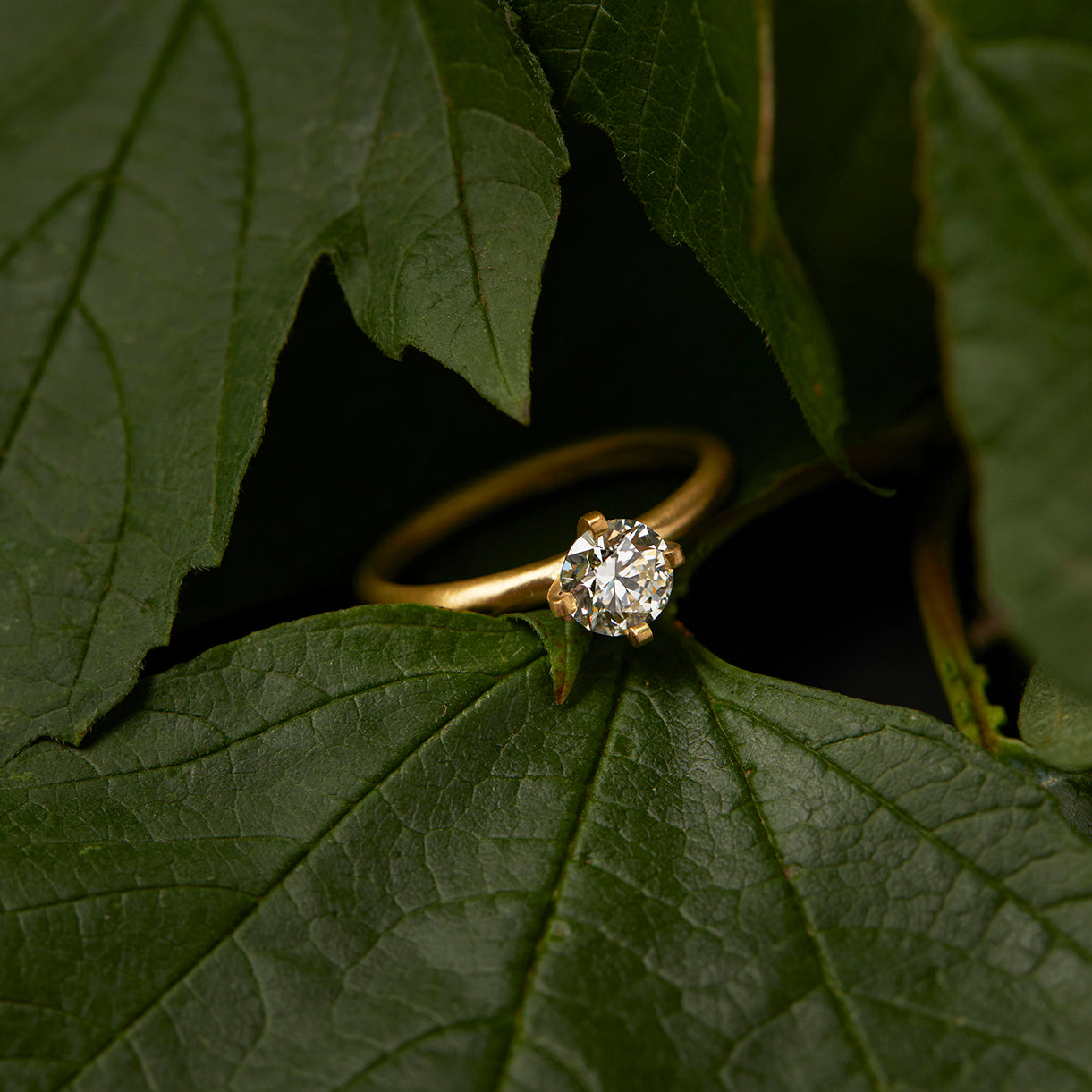 5.6mm White Diamond Noble Ring