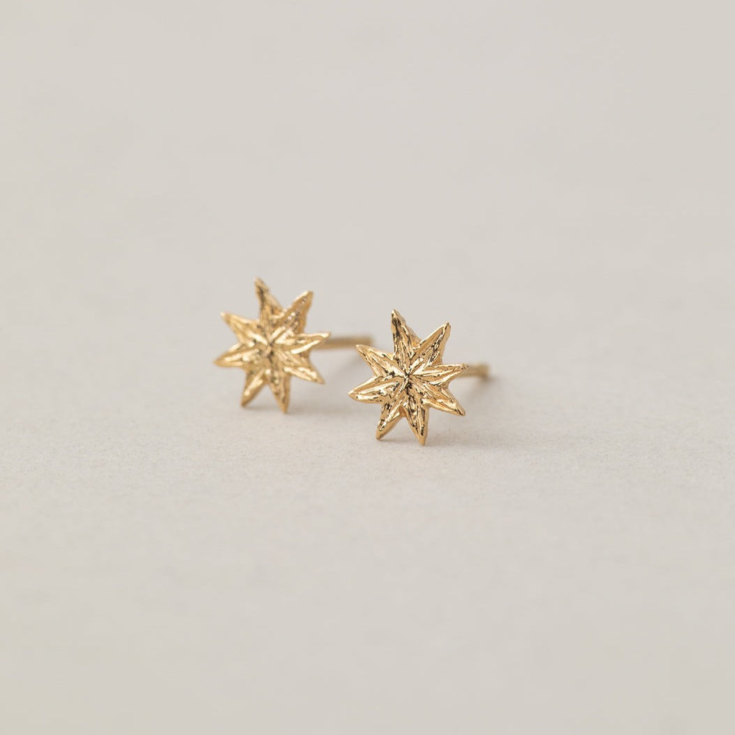Star Burst Studs